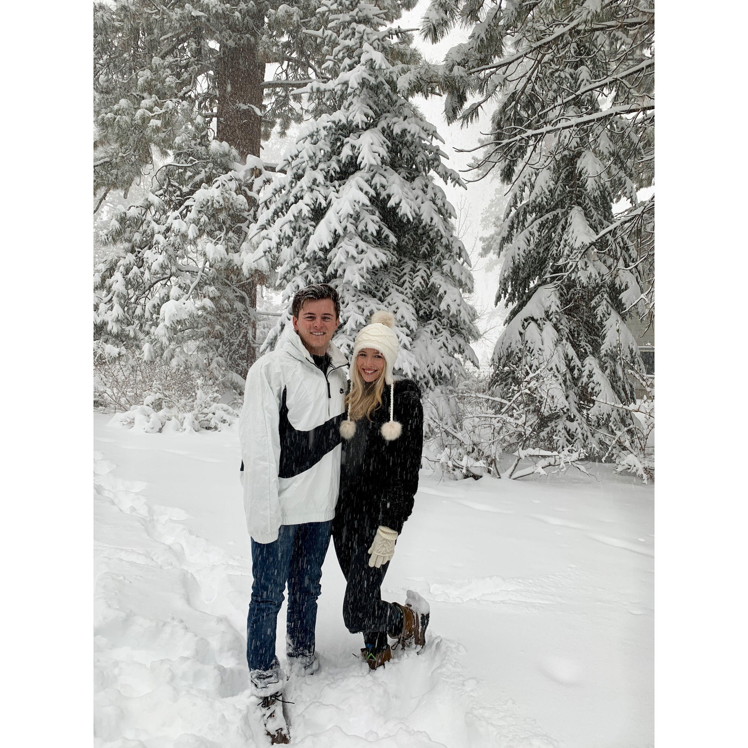 Big Bear Thanksgiving (2019)