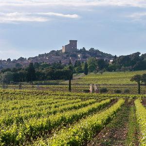 Wine tasting in Châteauneuf-du-Pape