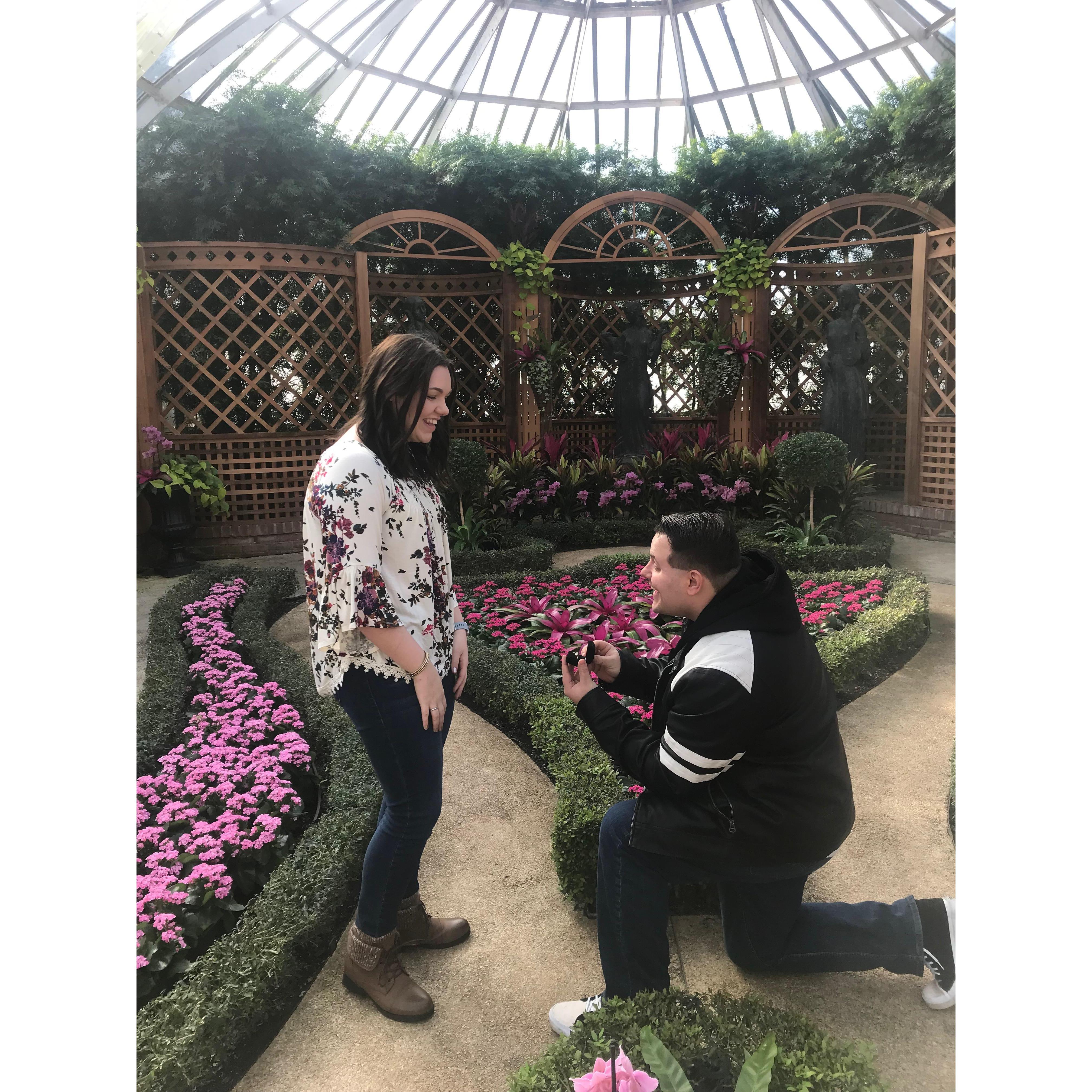 She said "YES!"