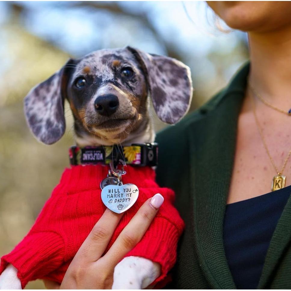 Pixel showing off her new tag