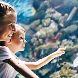 Interactive Aquarium Cancún