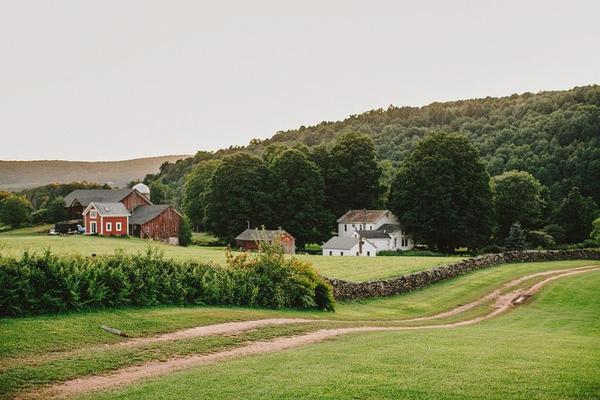 The Wedding Website of Toni-Ann Gardiner and Brian Dunne