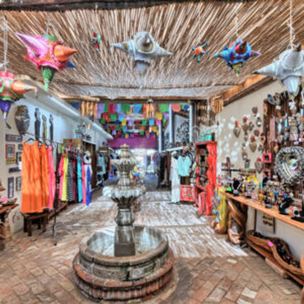 Souvenir Shopping Fund