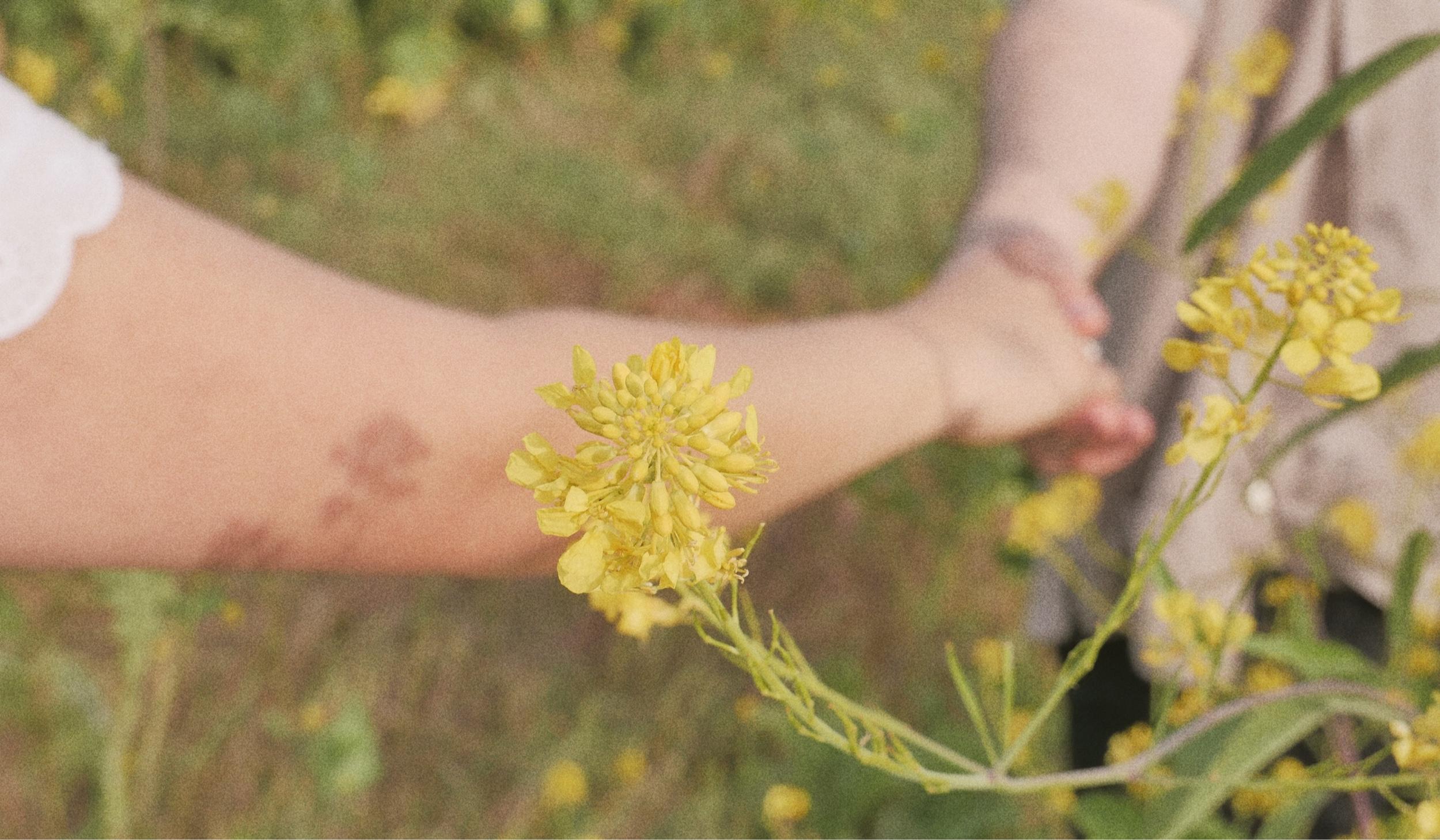 eb9574d7-25fc-4c6f-b059-66b36442b56a