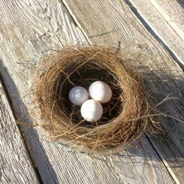 Newlywed Nest Egg Fund