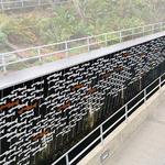 Ballard Locks Fish Ladder