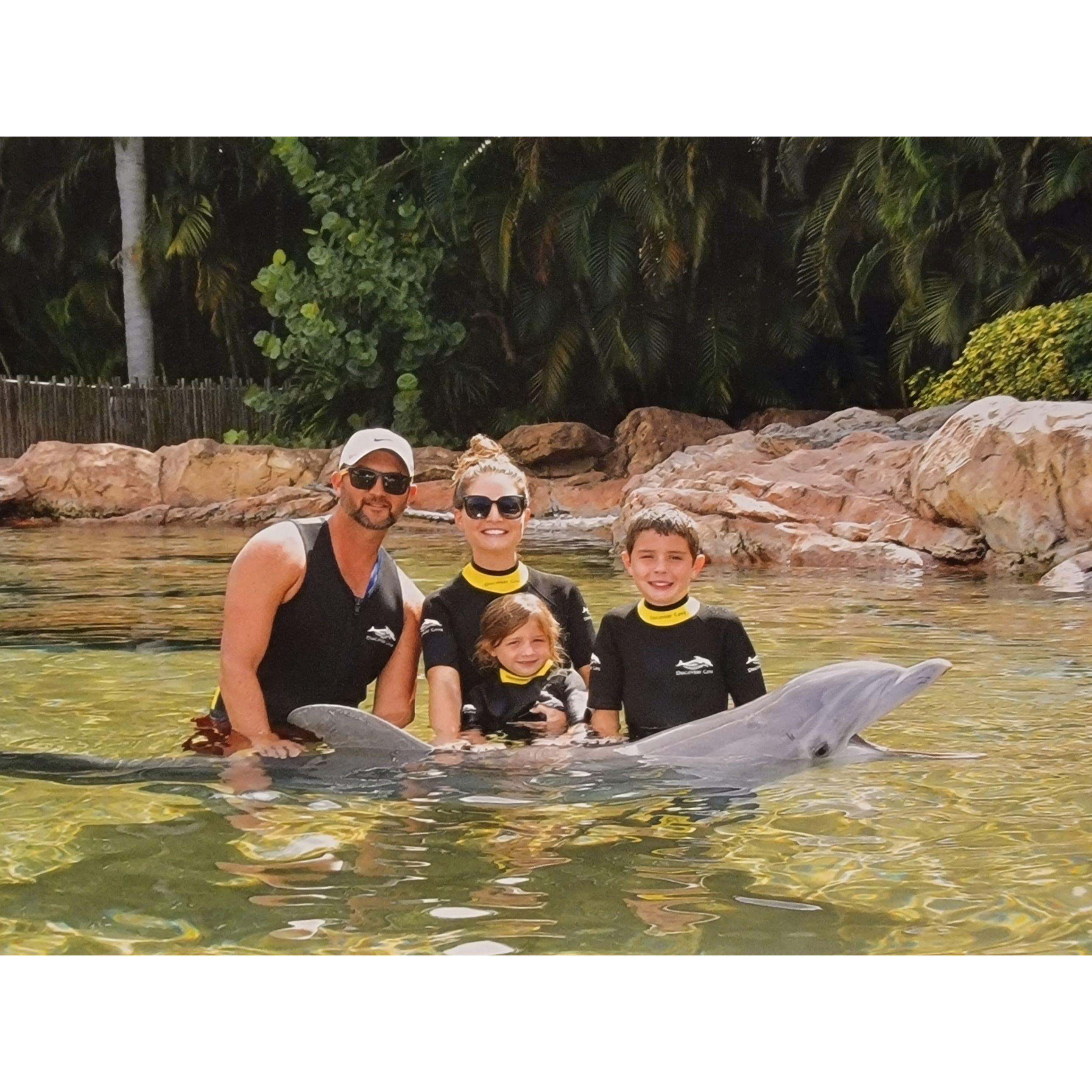 Dot, the dolphin.
