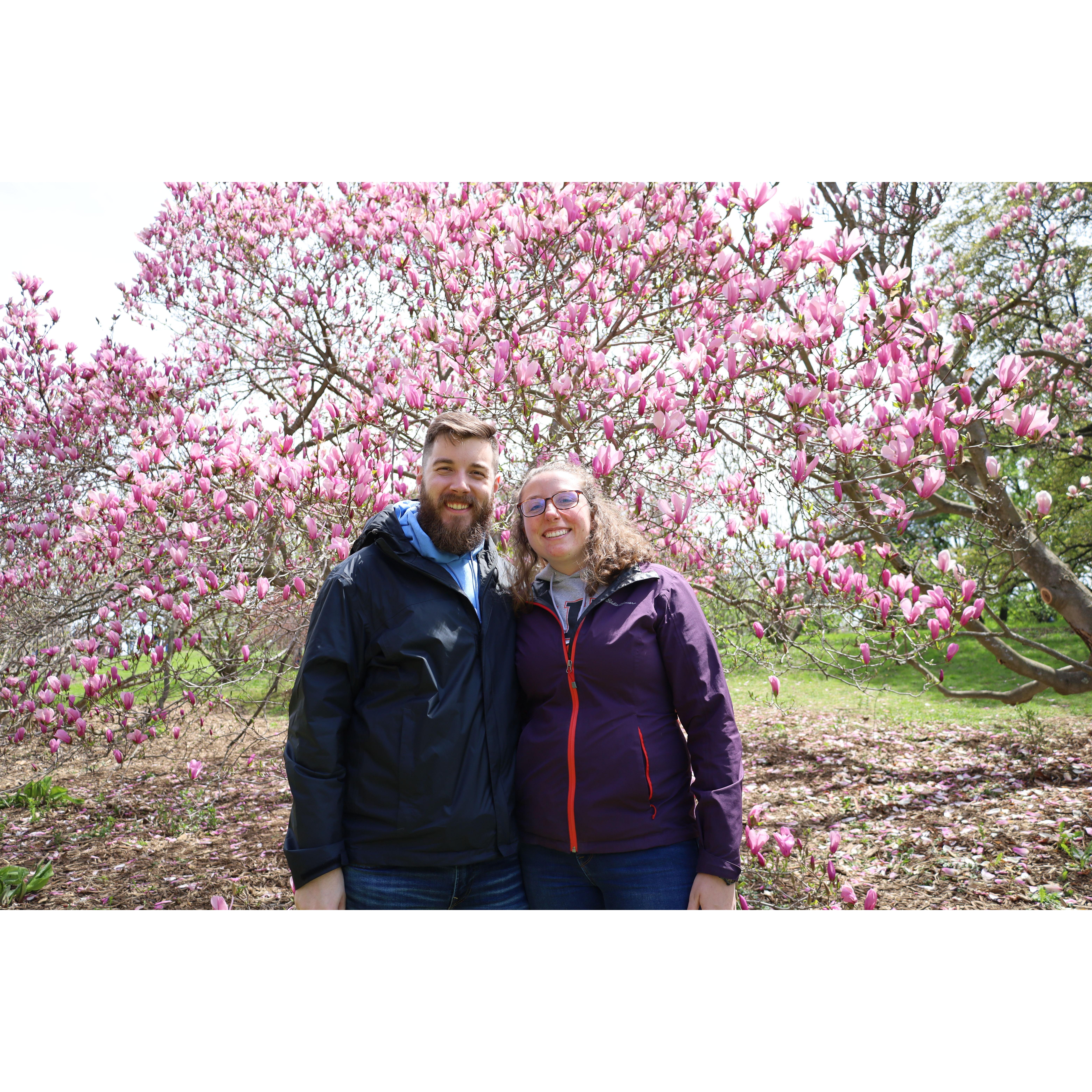 May 2022-Lilac Festival