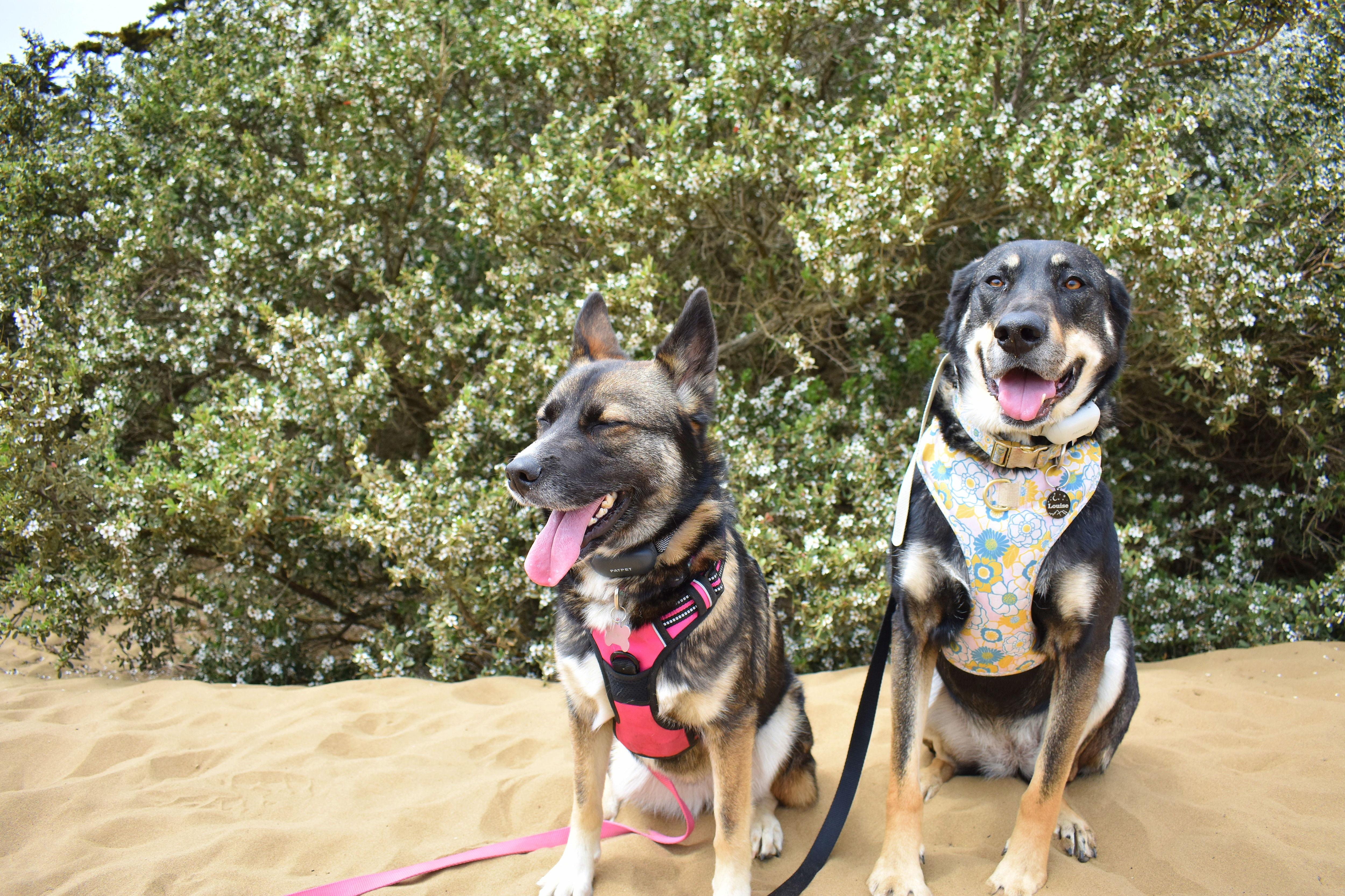 The Wedding Website of Pyper Filonowich and Austin Richmiller