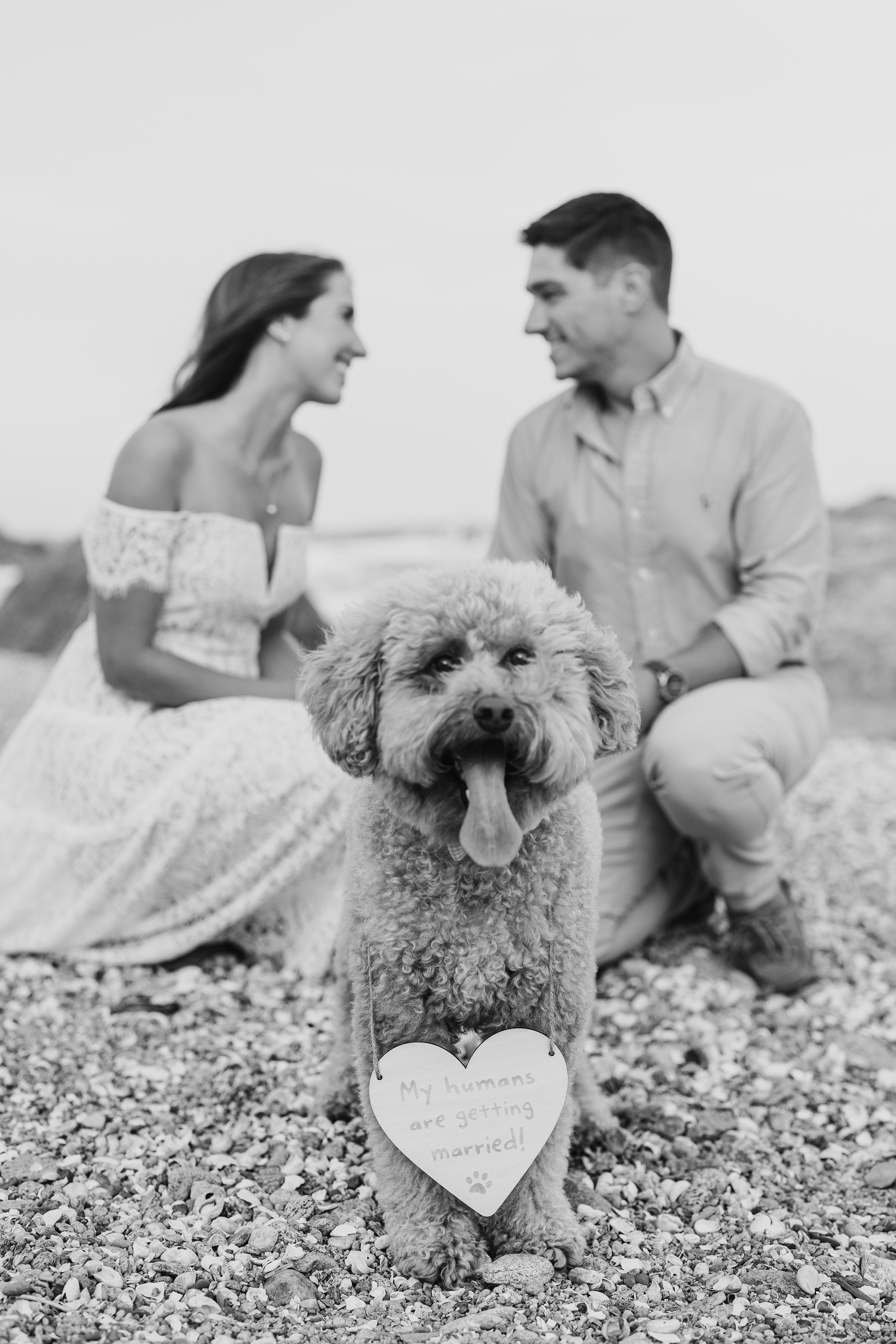 The Wedding Website of Cristina Augusto and Matthew Boisvert