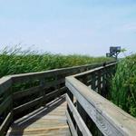 Leonabelle Turnbull Birding Center