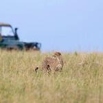 Maasai Mara National Reserve