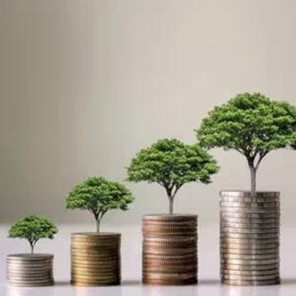 Stock/Investment Fund