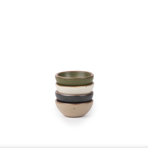 Bitty Bowl 4-Pack - Understory