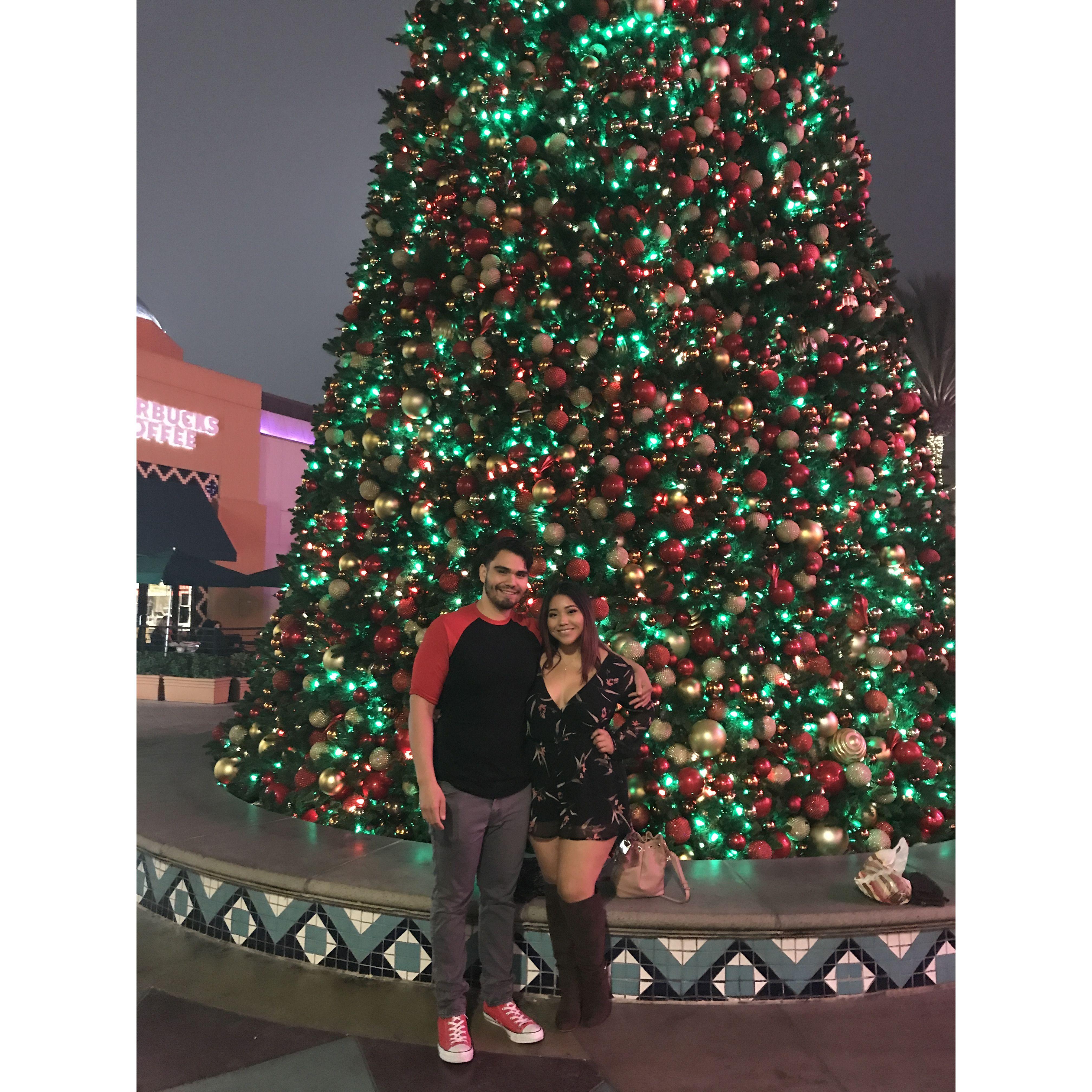 Christmas is my favorite time of the year 🎄
