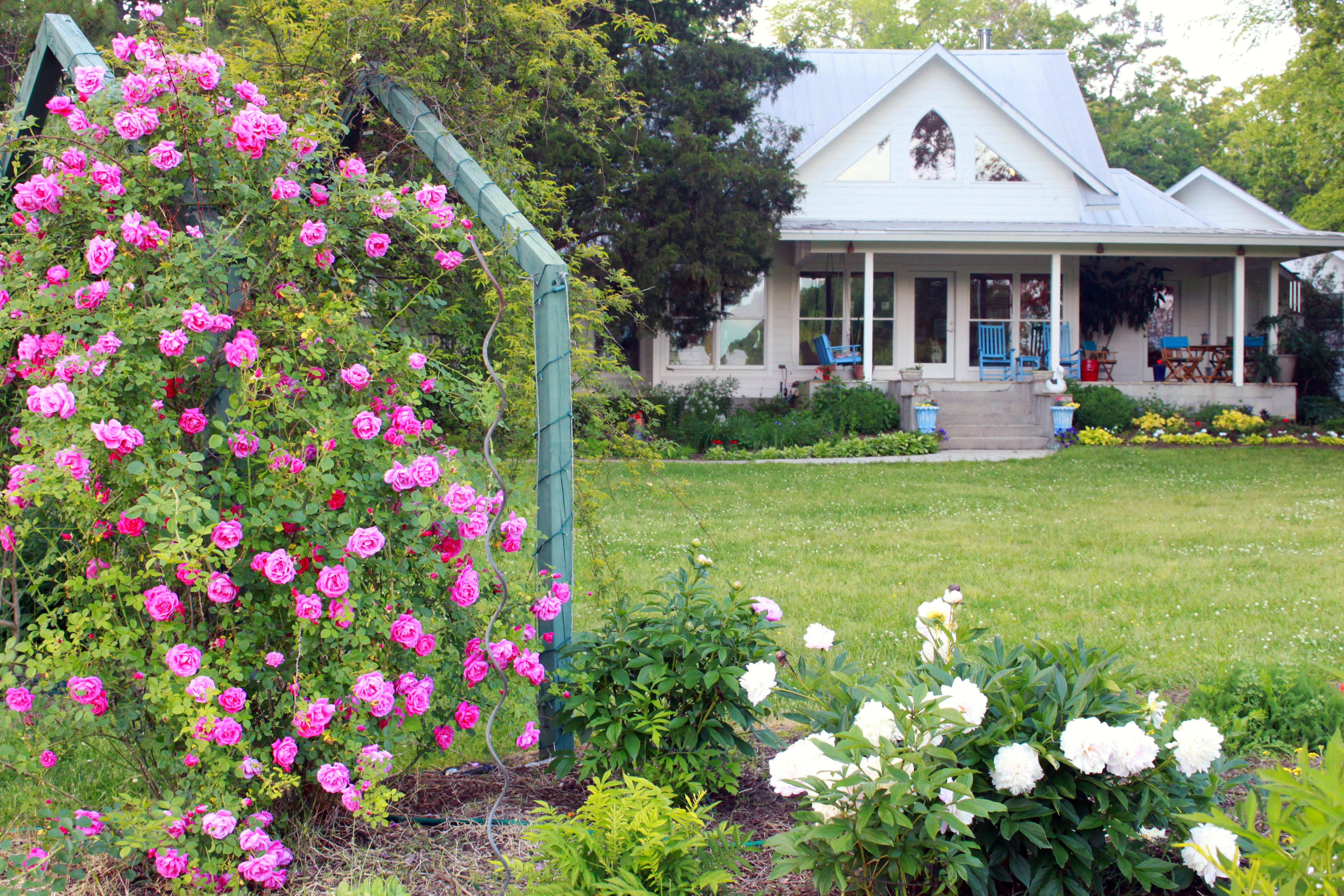 The Wedding Website of Stephanie Cole and Evan Wetherington