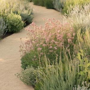 Garden & landscaping fund