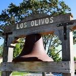 Los Olivos