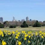 Dorothea Dix Park