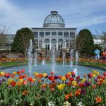 Lewis Ginter Botanical Garden