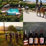 Experiences at the Tenuta