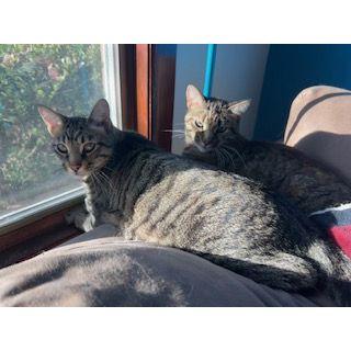 Ozzy and Medina