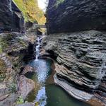 Watkins Glen State Park