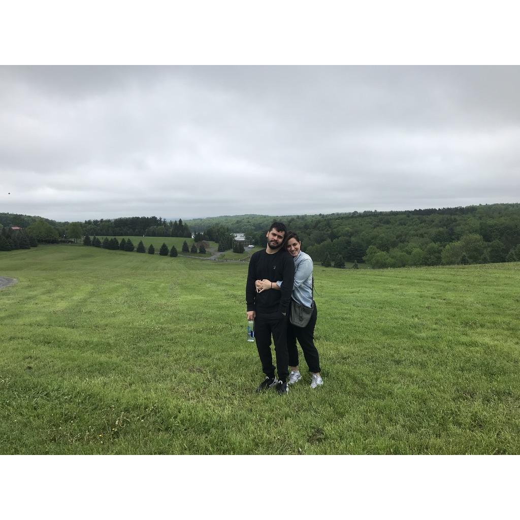 Woodstock, May 2018