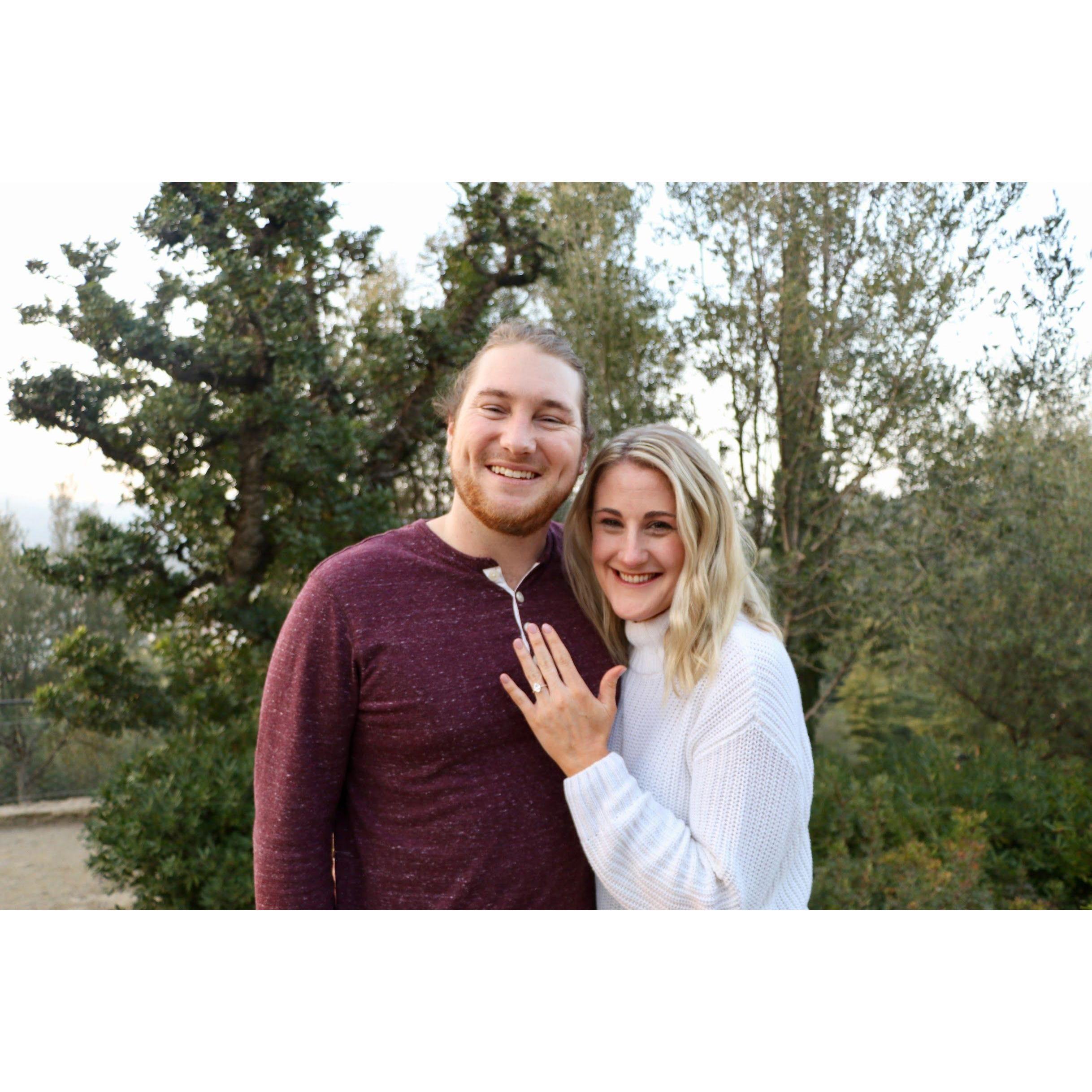 Park Guell proposal, February 9, 2019