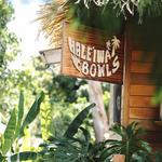Haleʻiwa Bowls