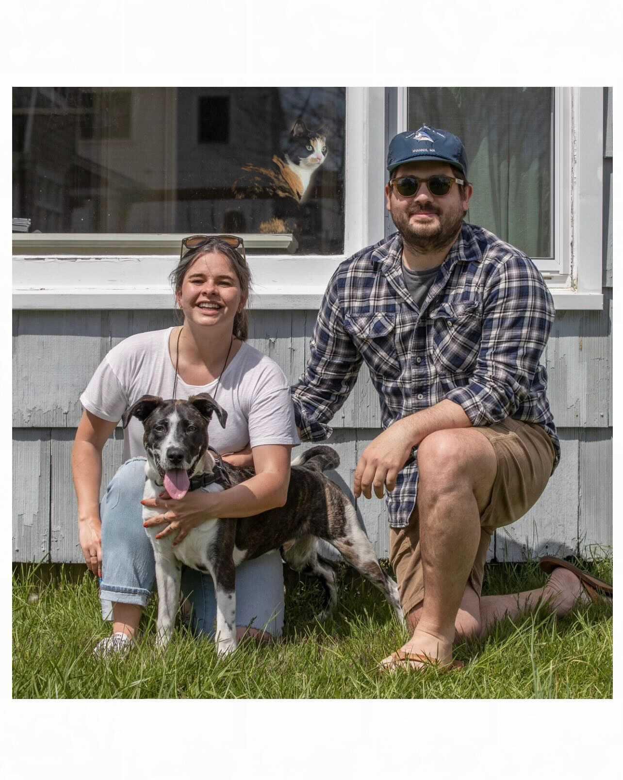 Our family 🐾 Mona in the window and Cash boy outside.