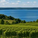 Old Mission Peninsula Wine Trail