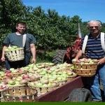 Sun High Orchards