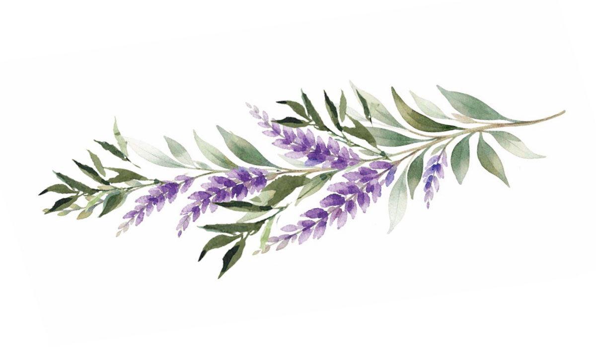 Footer image