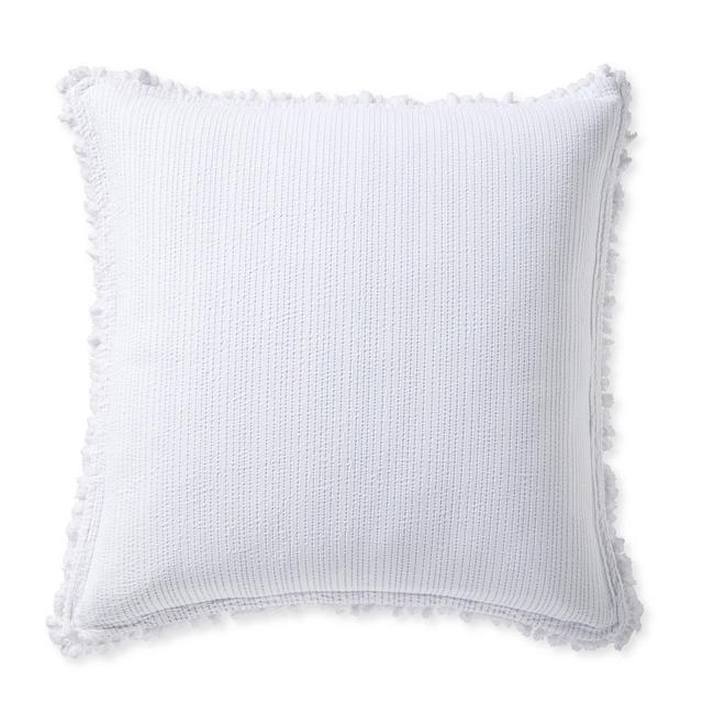 Hastings Shams