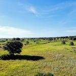 Lake Kissimmee State Park