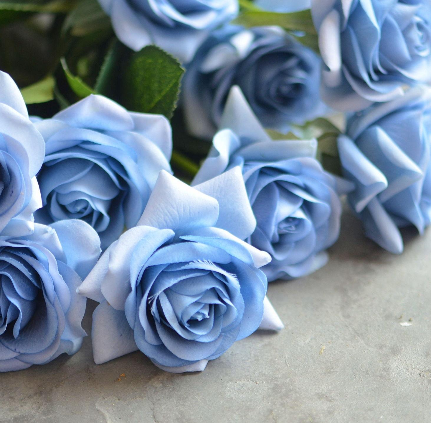The Wedding Website of Kristina Zinda and Dylan Hunter