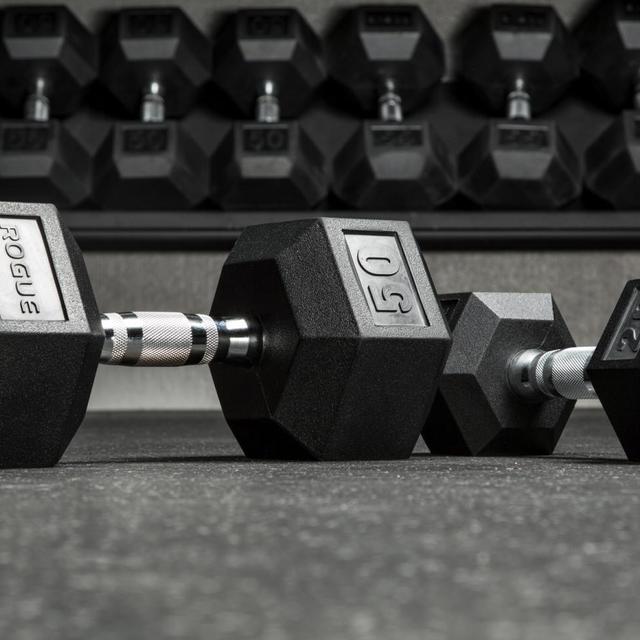 Rogue Dumbbells 15 lb