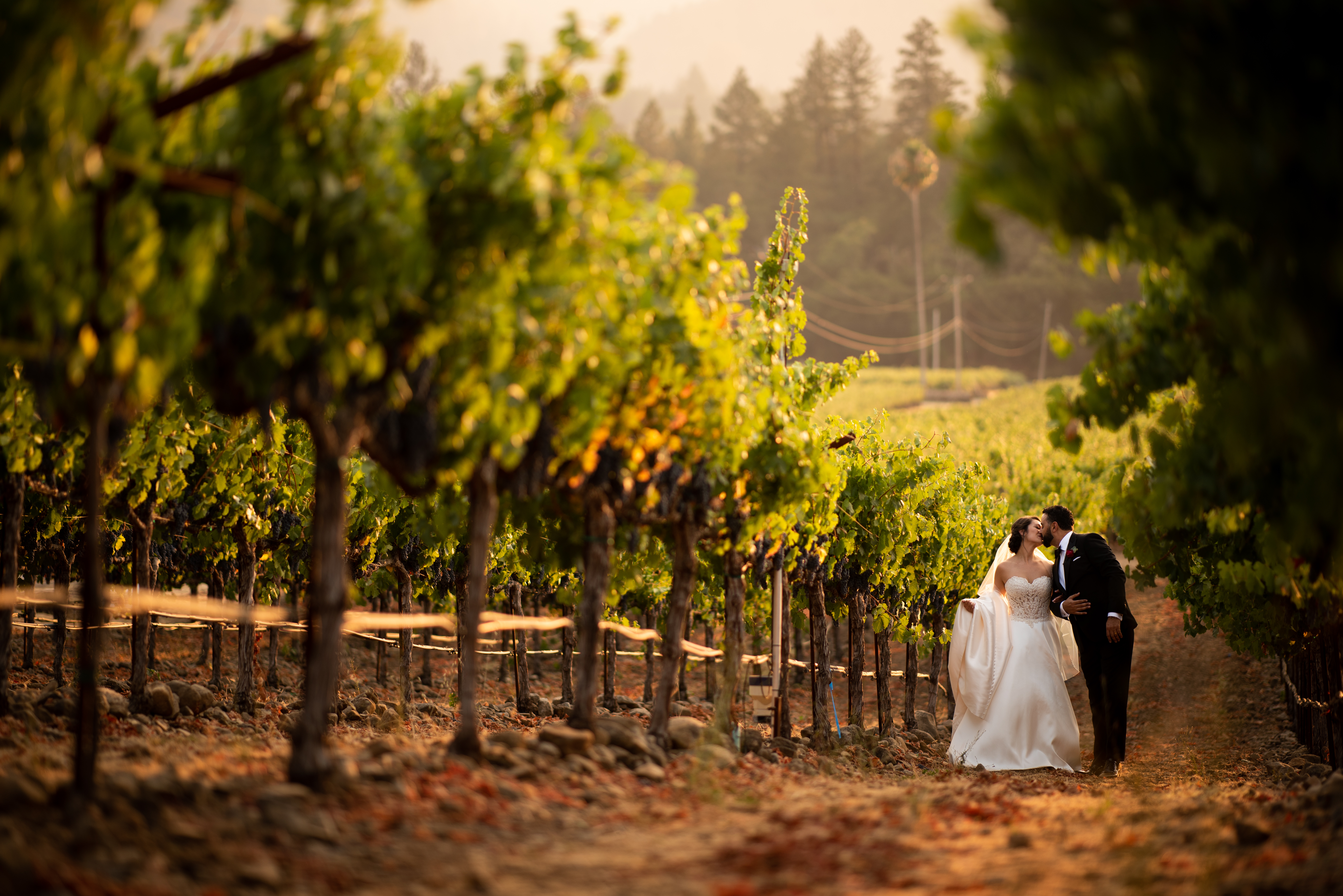 black tie outdoor wedding