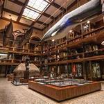 Bishop Museum