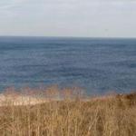 Hallock State Park Preserve