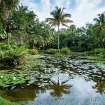 McKee Botanical Garden