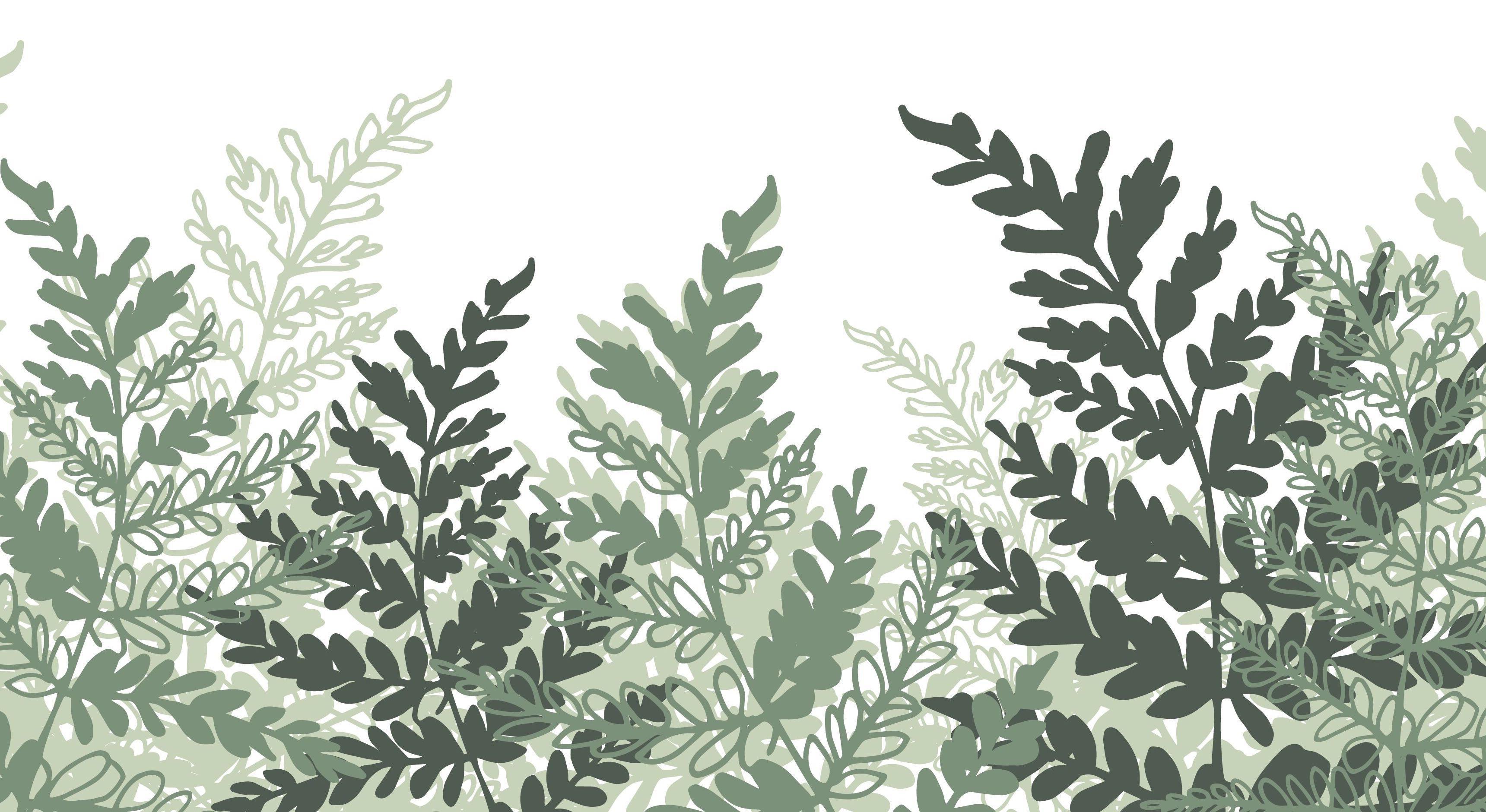 Footer image