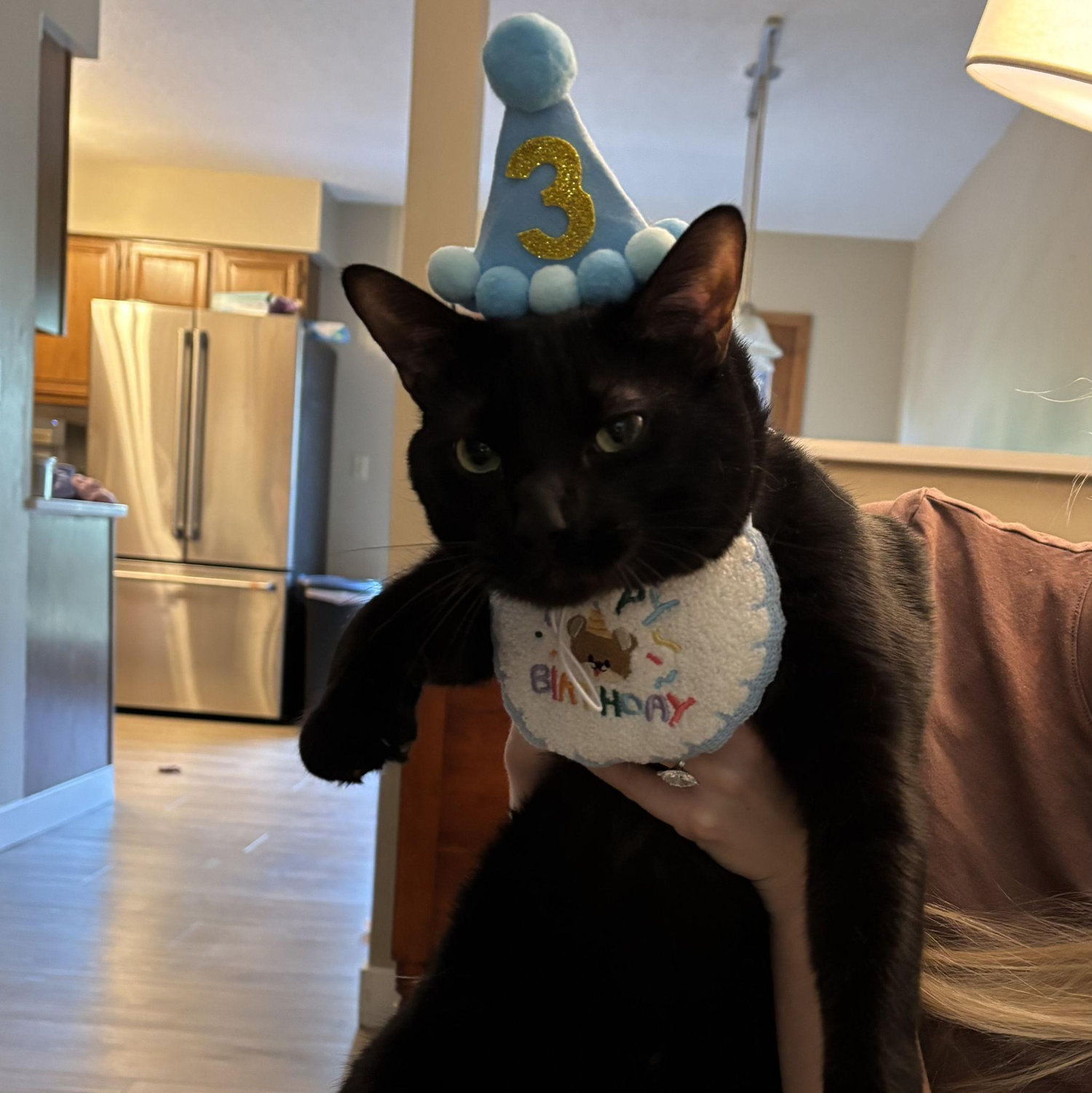 Our baby! Spot