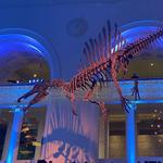 Field Museum & Shedd Aquarium