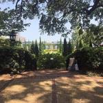 Cummer Museum of Art & Gardens
