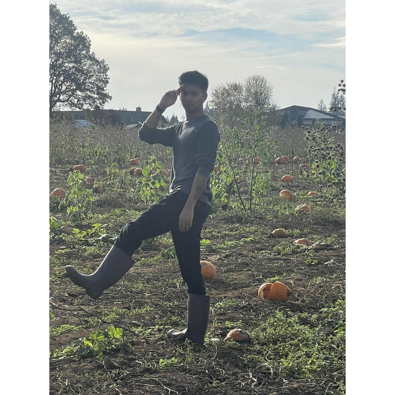 On the lookout for a good size pumpkin!