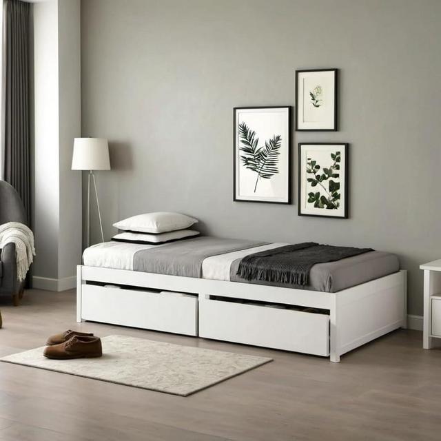 PVWIIK Twin Daybed with 2 Drawers for Kids,Adult,Wood Storage Bed Frame w/Wooden Slats Support for Girls & Boys,No Box Spring Needed, White