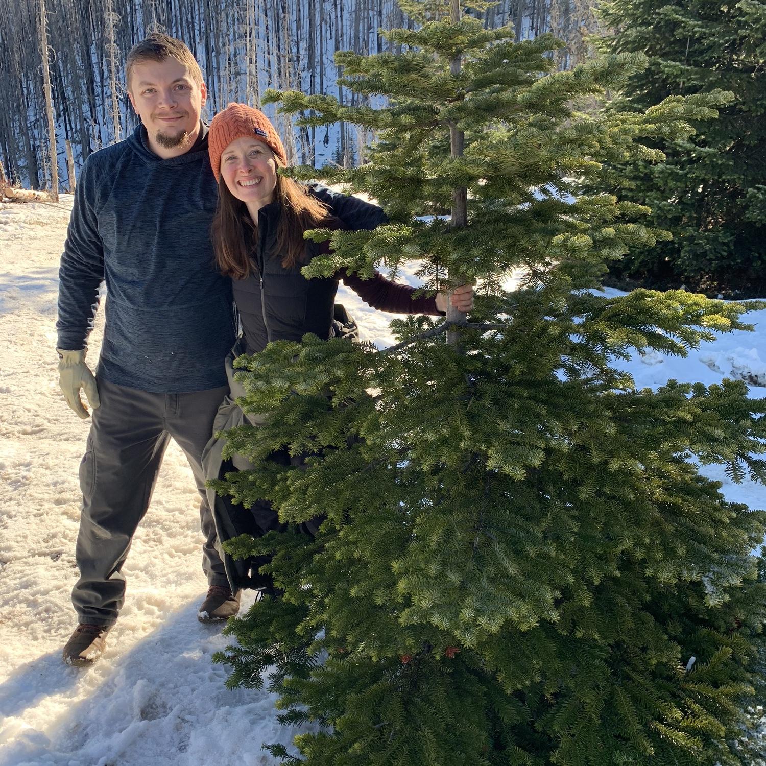 Christmas tree successfully selected. Ryan knows how to use a chain saw. Hot.