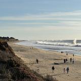 Pacific Coast Trail & Francis Beach